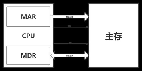 計(jì)算機(jī)系統(tǒng)協(xié)同工作與網(wǎng)絡(luò)技術(shù)開發(fā) 從指令執(zhí)行到應(yīng)用實(shí)現(xiàn)