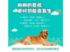 寵物定位器 守護(hù)愛寵的科技新寵
