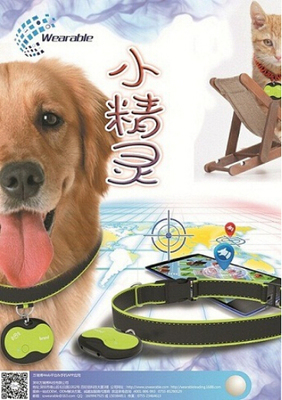 寵物定位器 科技守護下的自由與安全