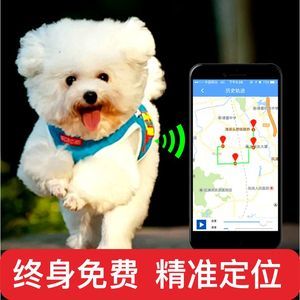 寵物追蹤器項圈 讓愛與安全同行